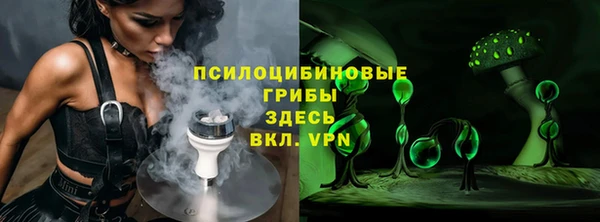 соль ск Богданович